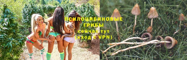 a pvp Кинешма
