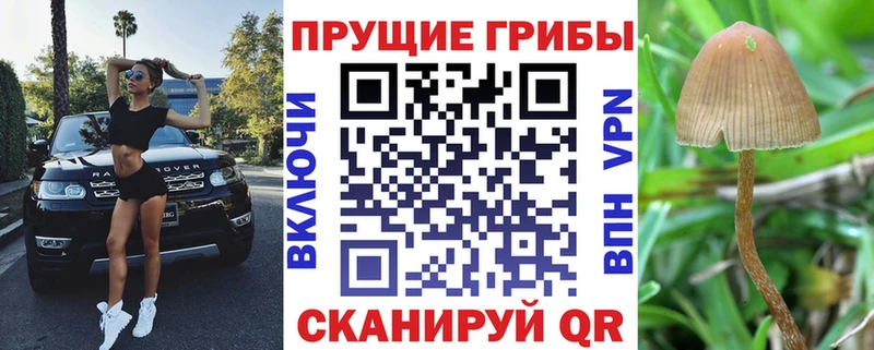 Псилоцибиновые грибы Cubensis  Купить закладки  Зеленодольск 